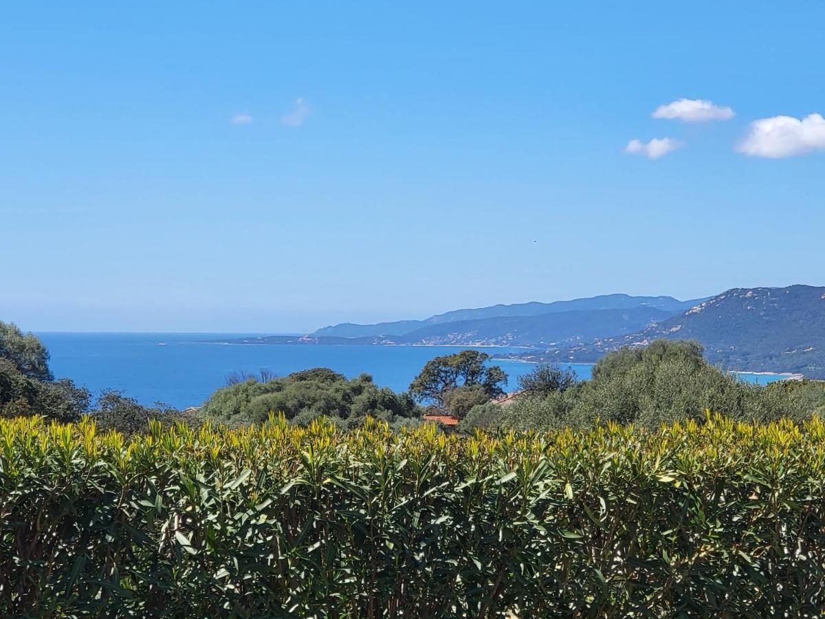 T3 Propriano Vue Mer, Neuf, Climatise Et Classe 4 Etoiles Viggianello 외부 사진