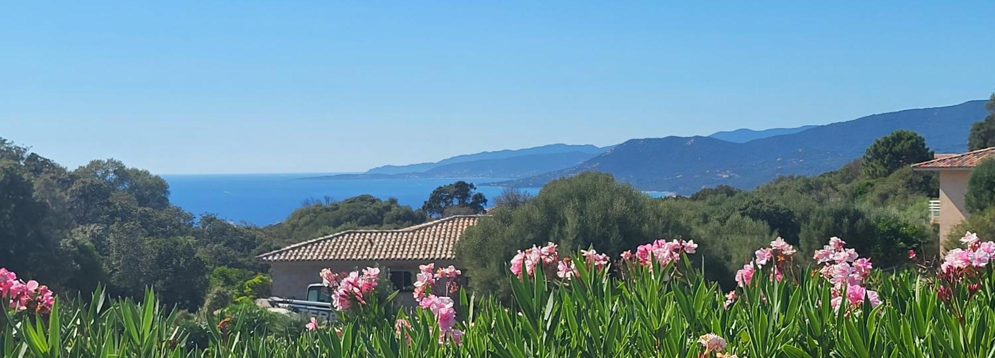 T3 Propriano Vue Mer, Neuf, Climatise Et Classe 4 Etoiles Viggianello 외부 사진